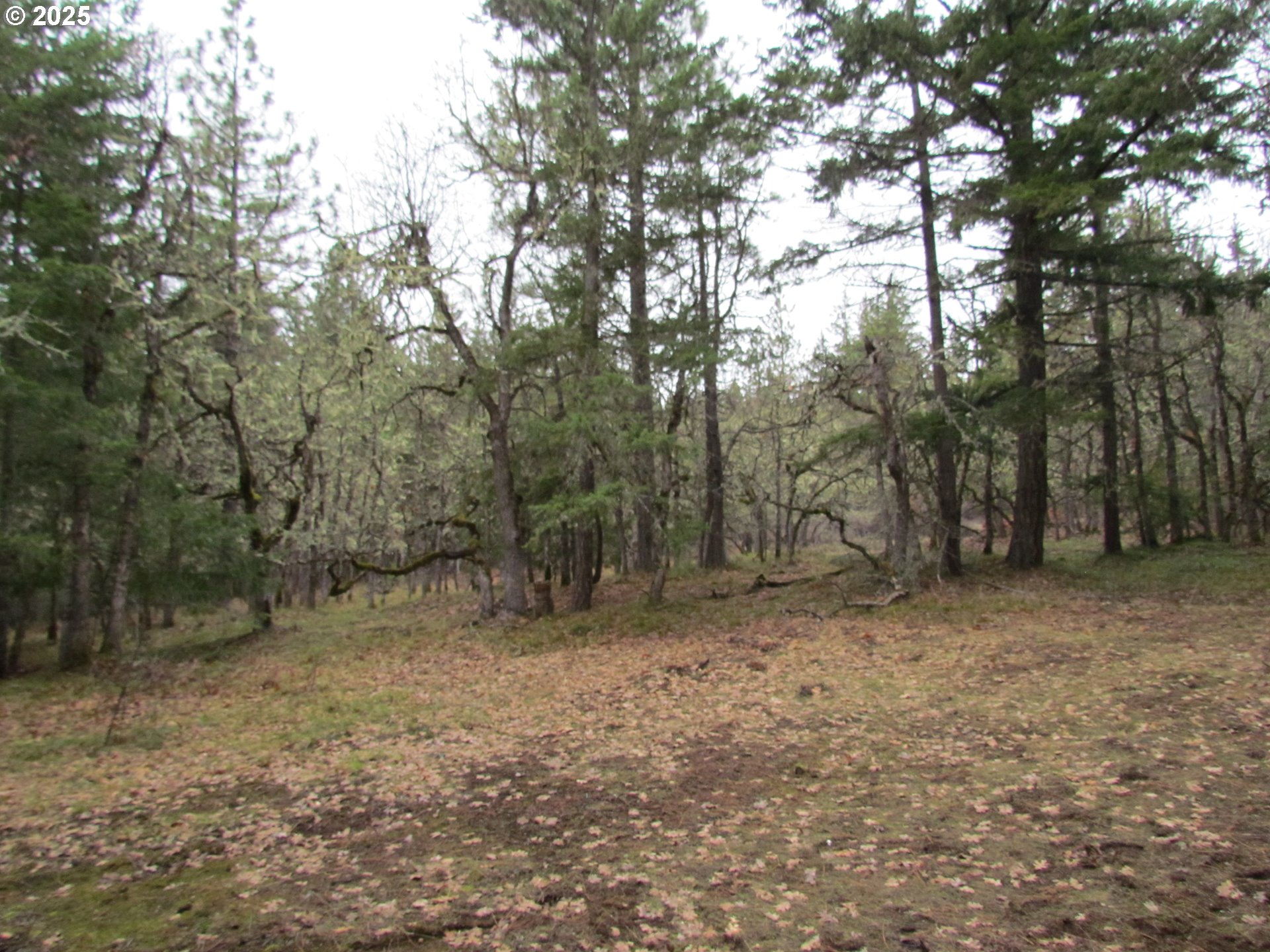 55 Bertha N Orchard Road Lyle, WA 98635 - Photo 6 of 42 Gallery Image 6