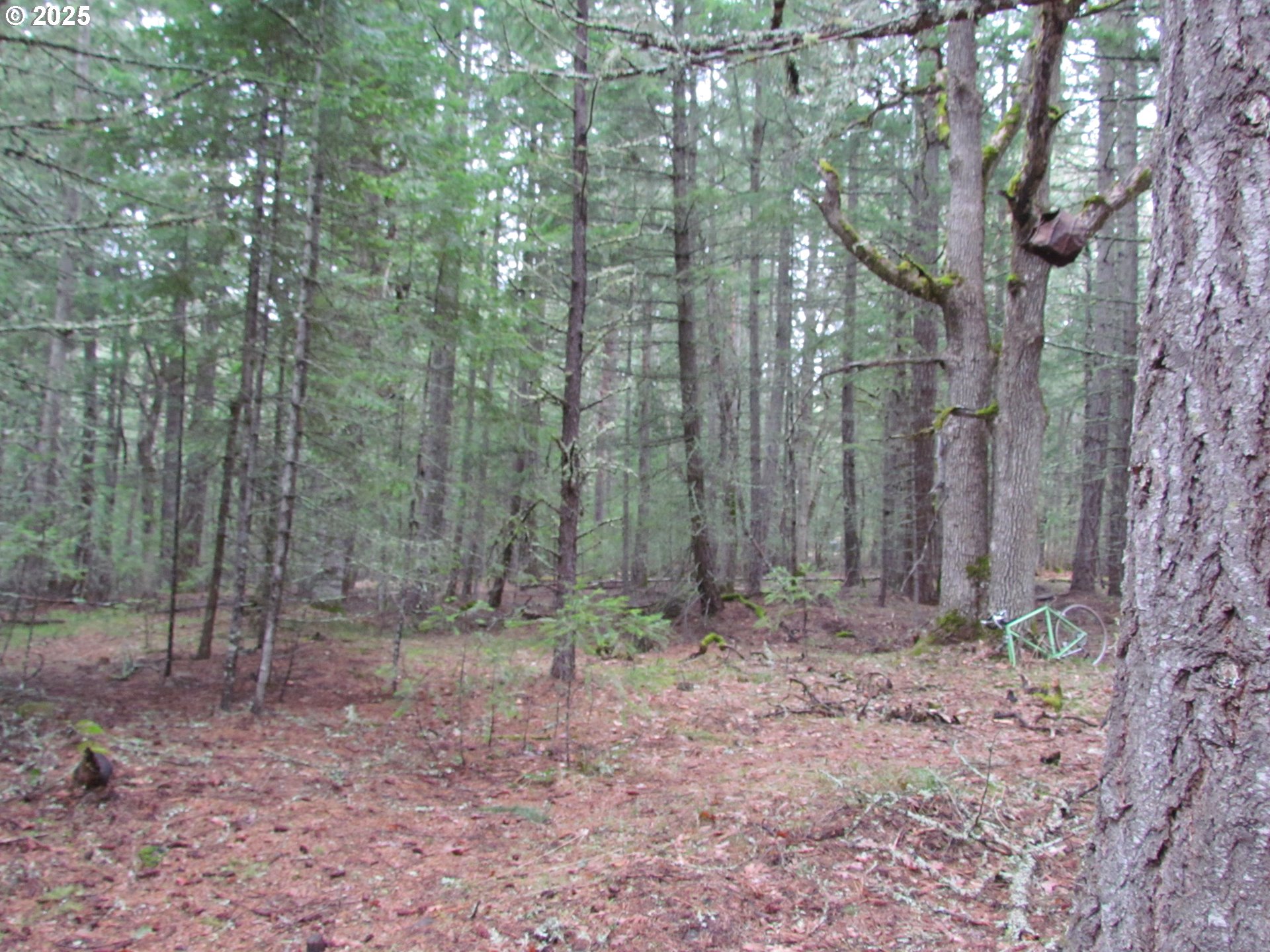 55 Bertha N Orchard Road Lyle, WA 98635 - Photo 10 of 42 Gallery Image 10