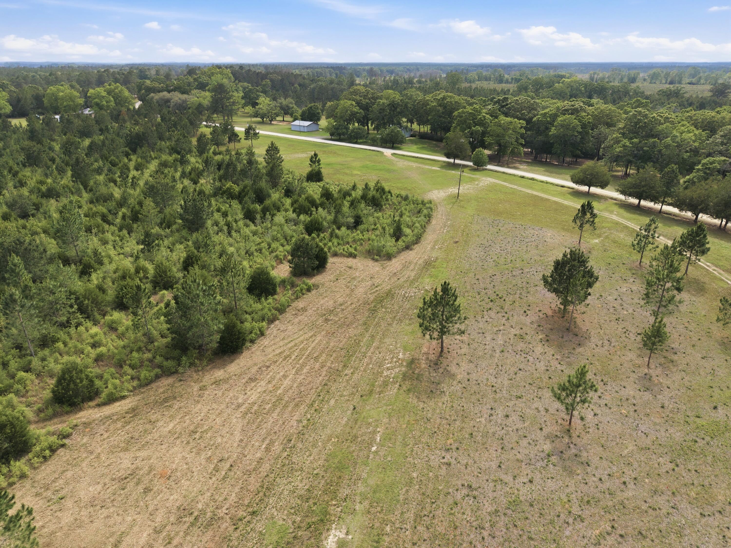 261 Wilkerson Road DeFuniak Springs, FL 32433 - Photo 21 of 76 a view of a lake with a mountain