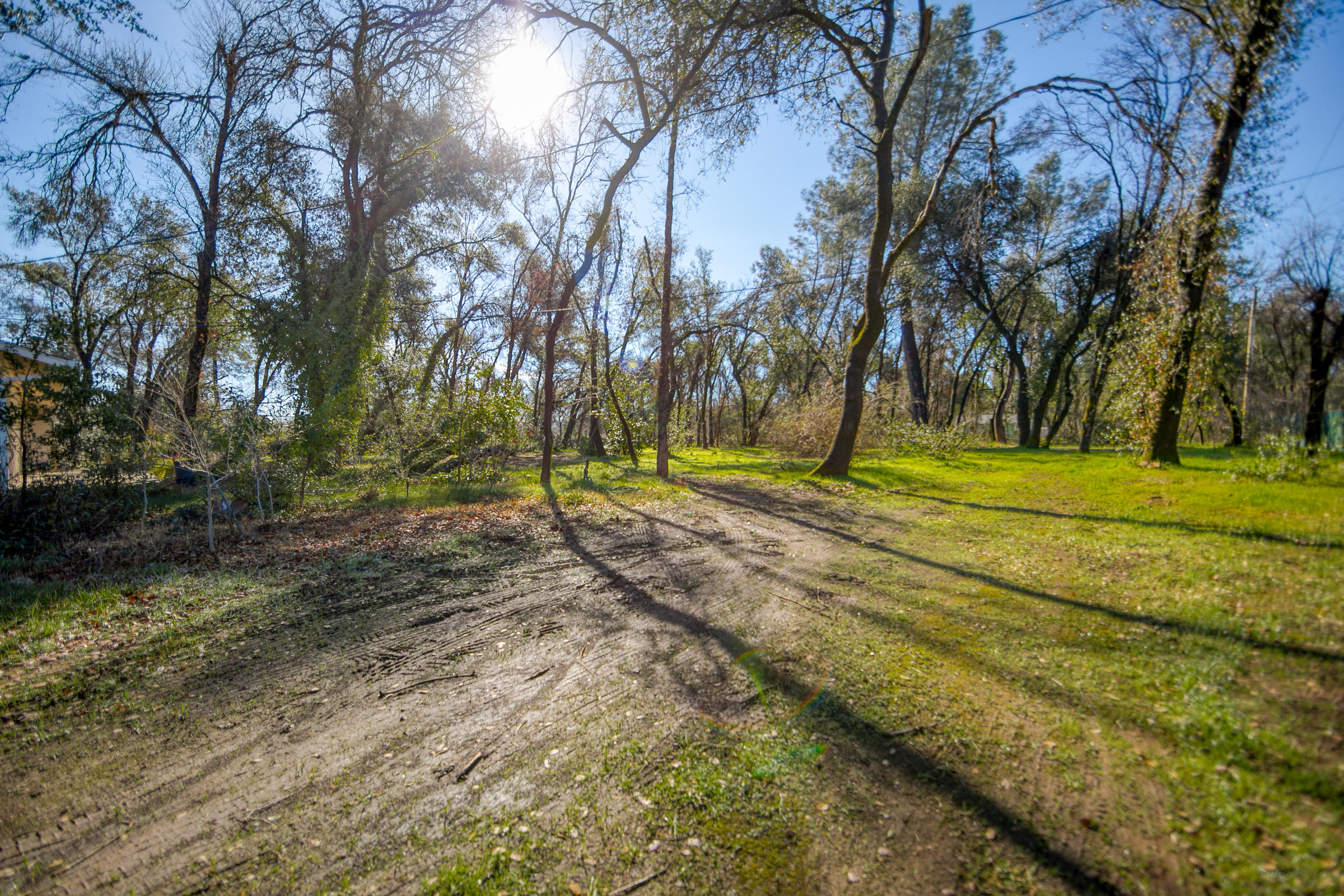 8442 Ranchette Drive Redding, CA 96001 - Photo 3 of 26 a view of outdoor space with trees
