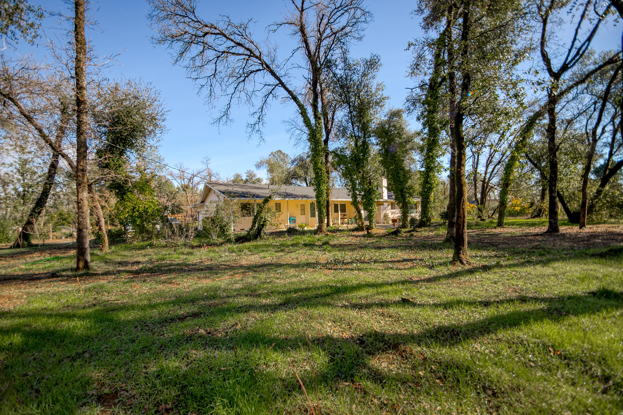 8442 Ranchette Drive Redding, CA 96001 - Photo 4 of 26 a view of park space
