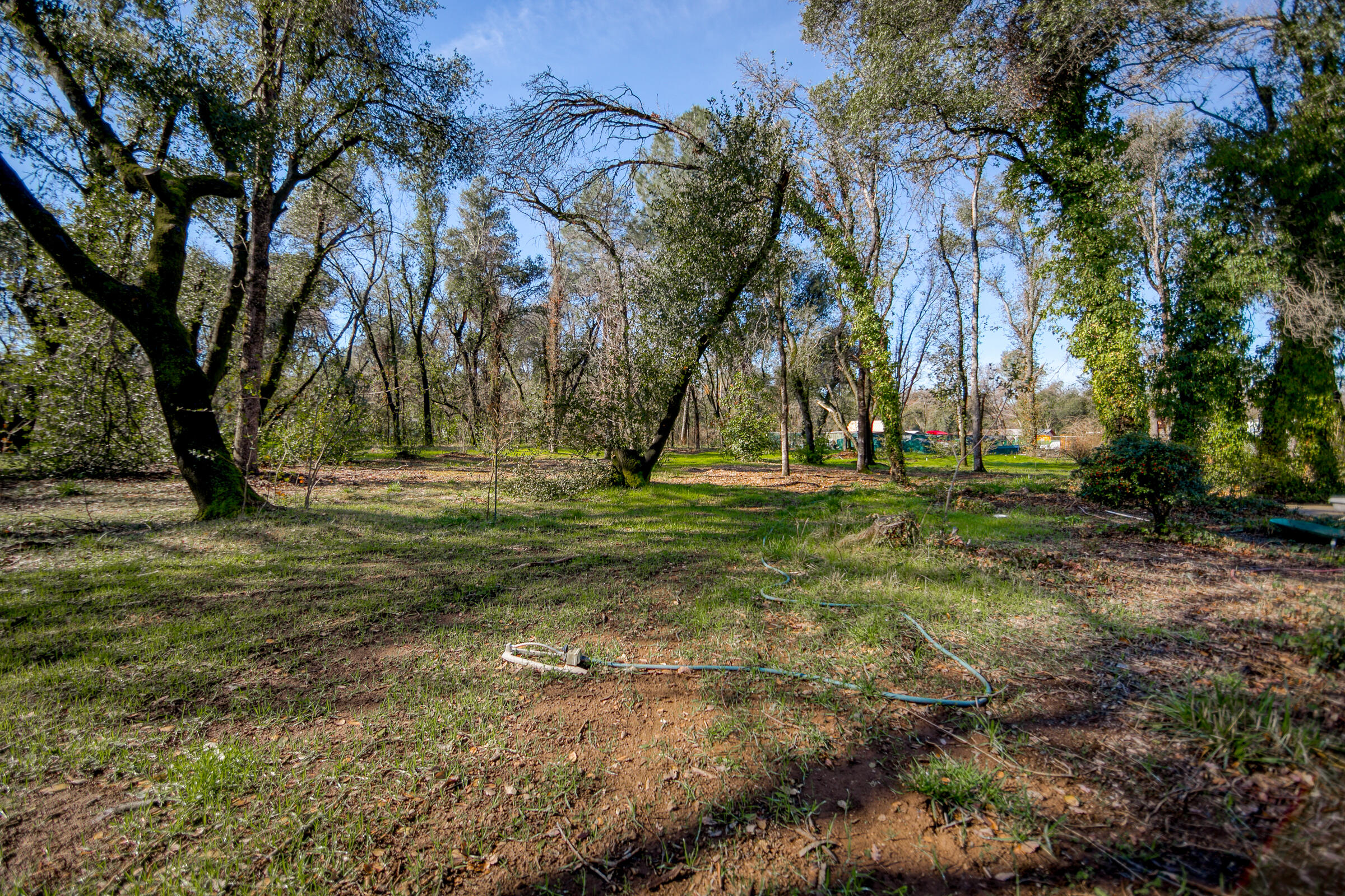 8442 Ranchette Drive Redding, CA 96001 - Photo 7 of 26 a view of a backyard with green space