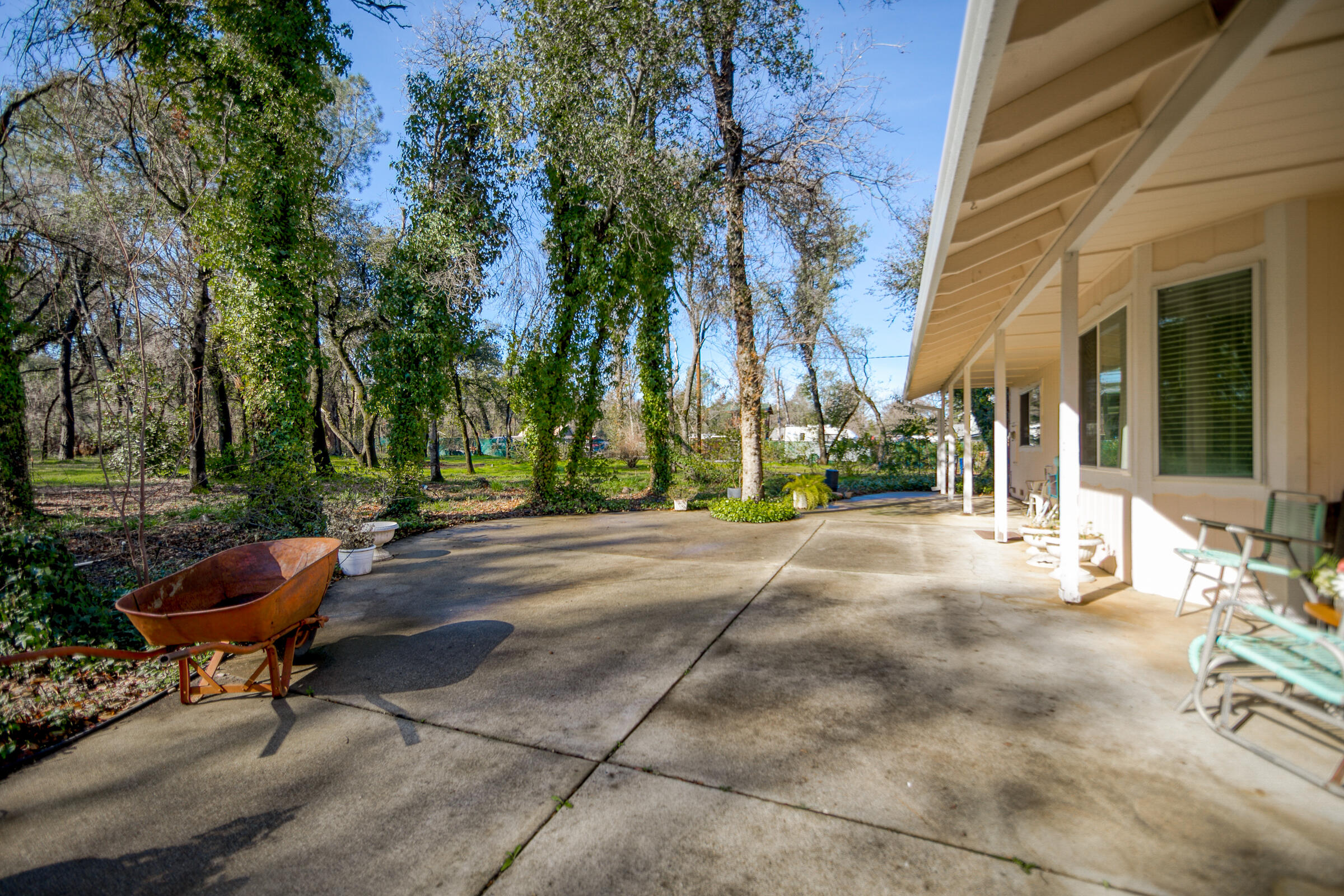 8442 Ranchette Drive Redding, CA 96001 - Photo 8 of 26 a view of backyard with outdoor seating and trees