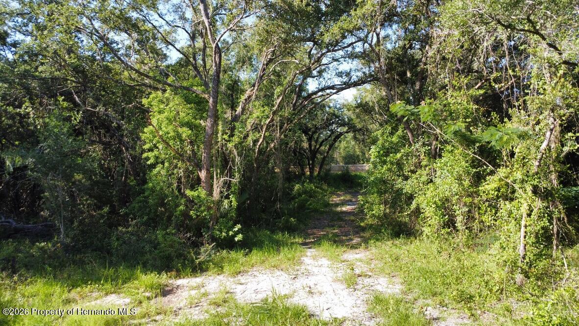 0 Little Ranch Road Spring Hill, FL 34610 - Photo 3 of 25