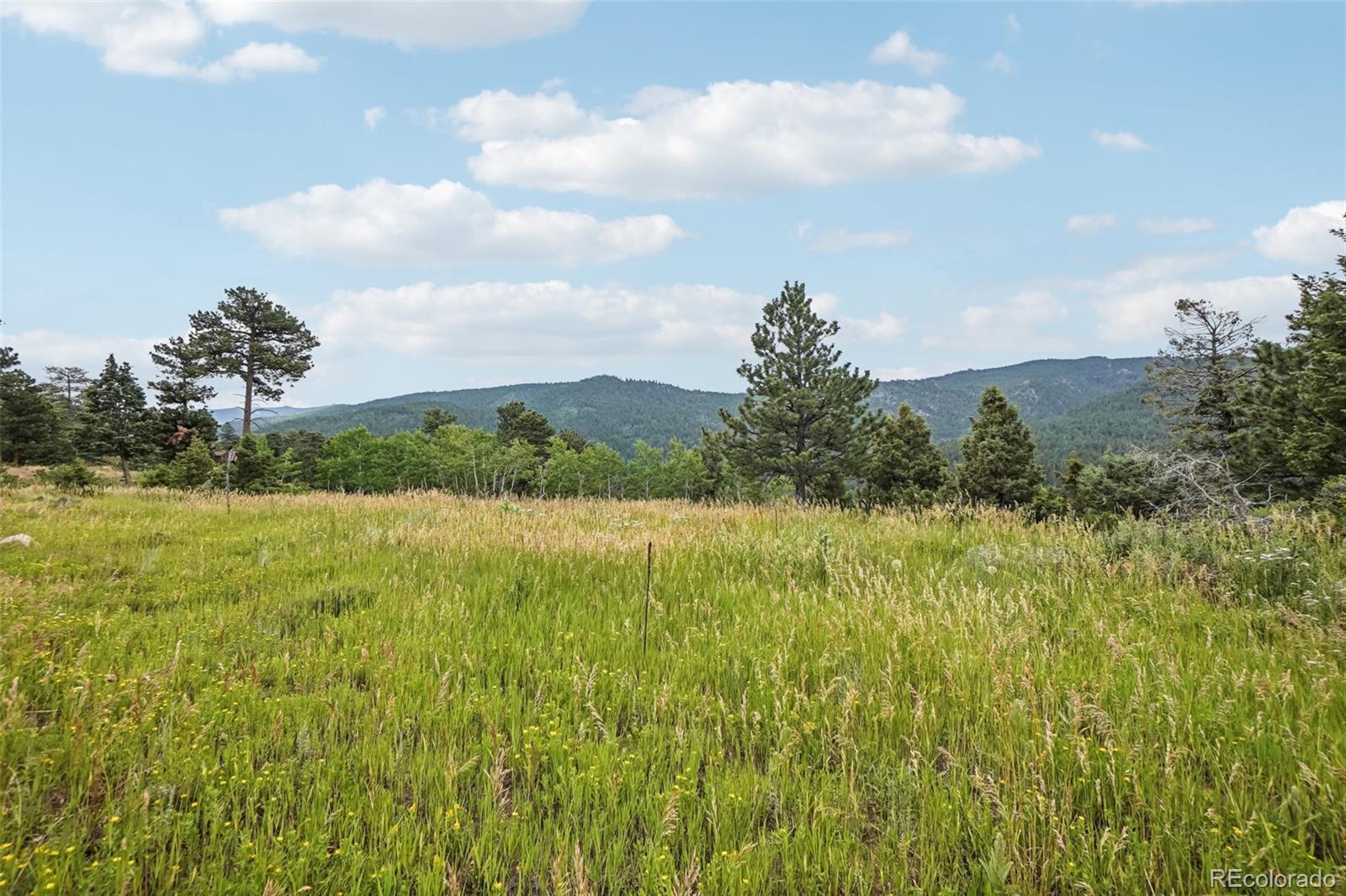 3592 Ridge Road Nederland, CO 80466 - Photo 42 of 50