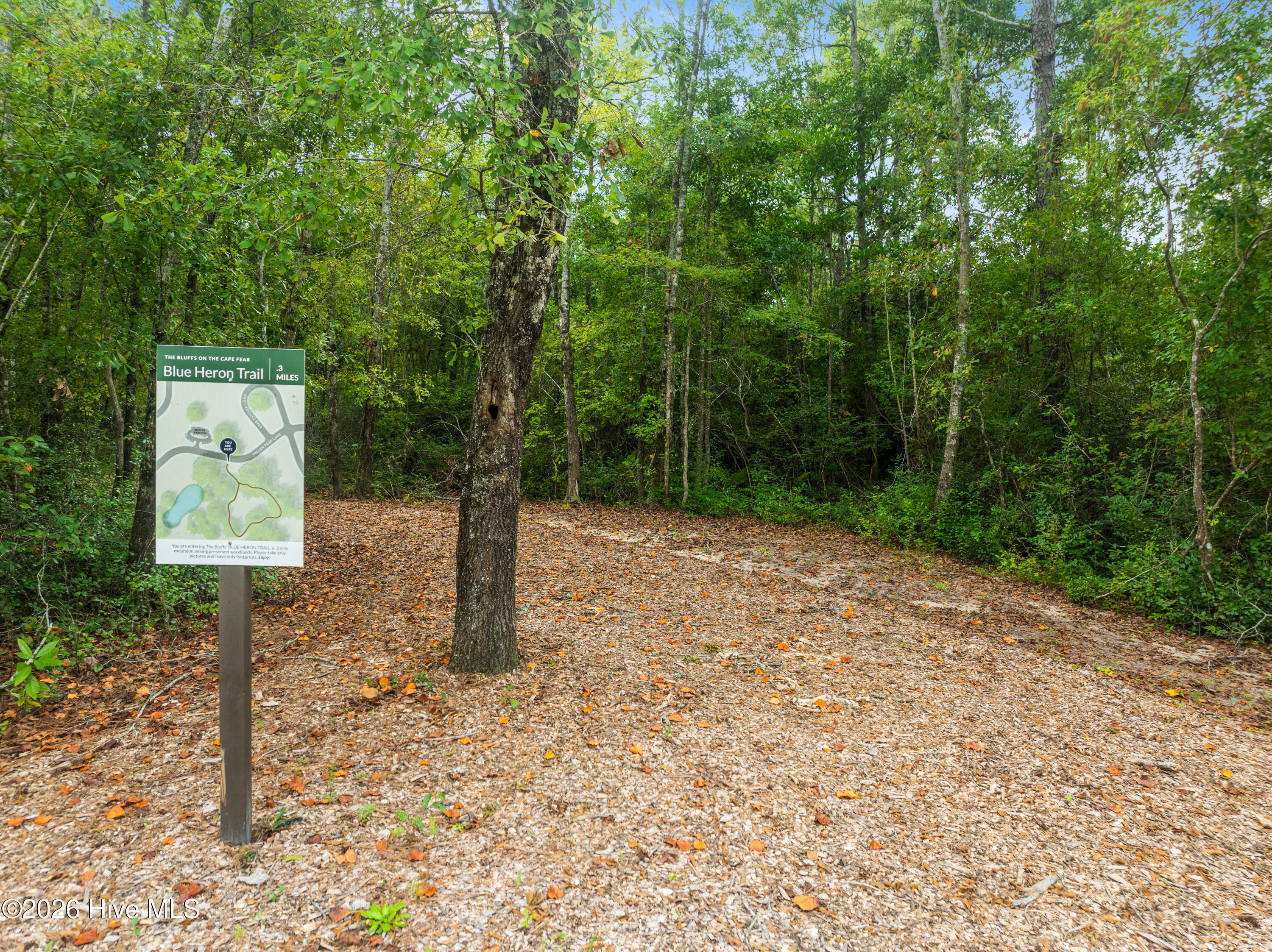 3775 Hallmark Road Northeast Leland, NC 28451 - Photo 29 of 29 TheBluffsCommunityAmmenities642025-24
