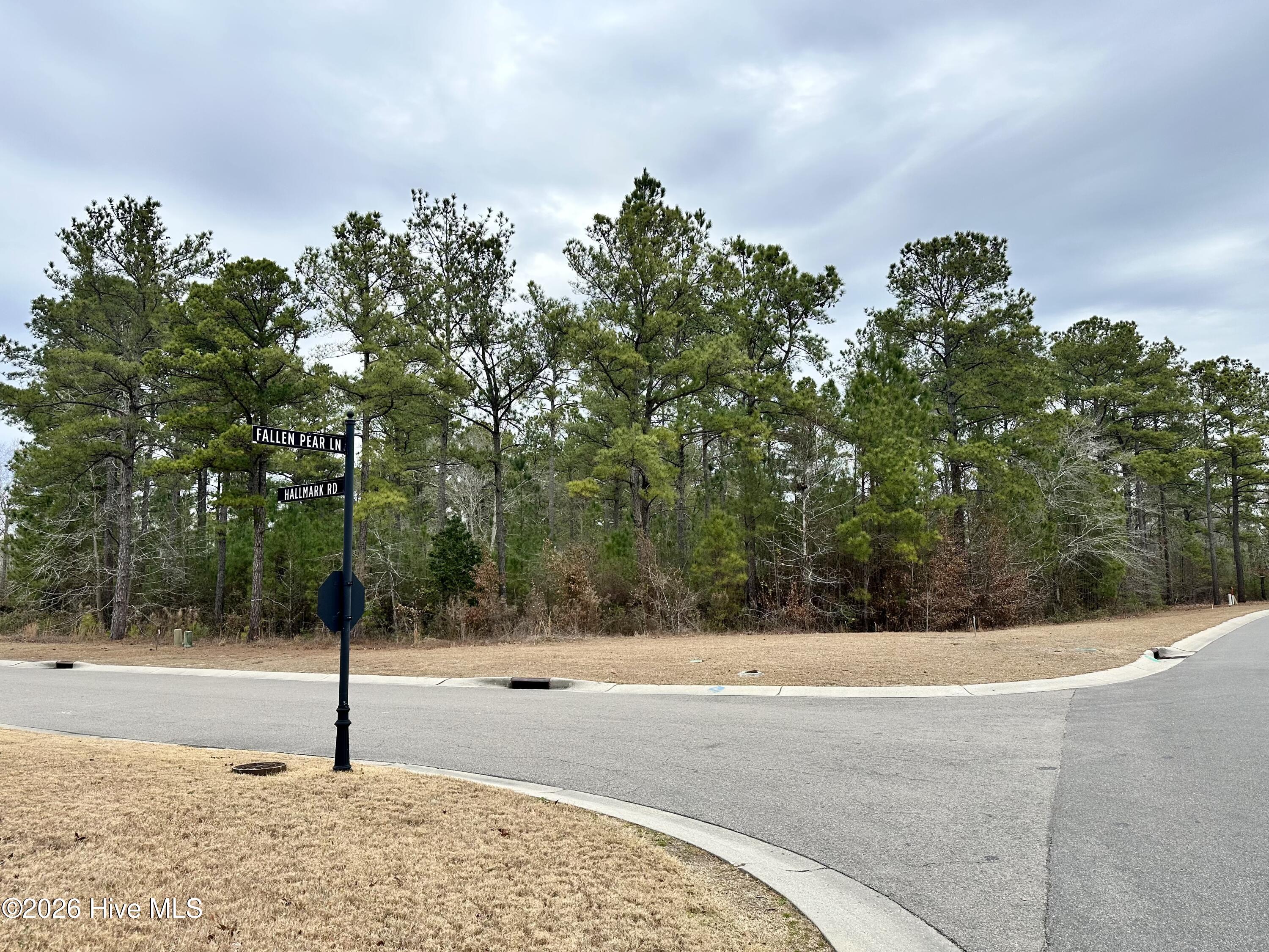 3775 Hallmark Road Northeast Leland, NC 28451 - Photo 3 of 29 3775HallmarkFrontCorner
