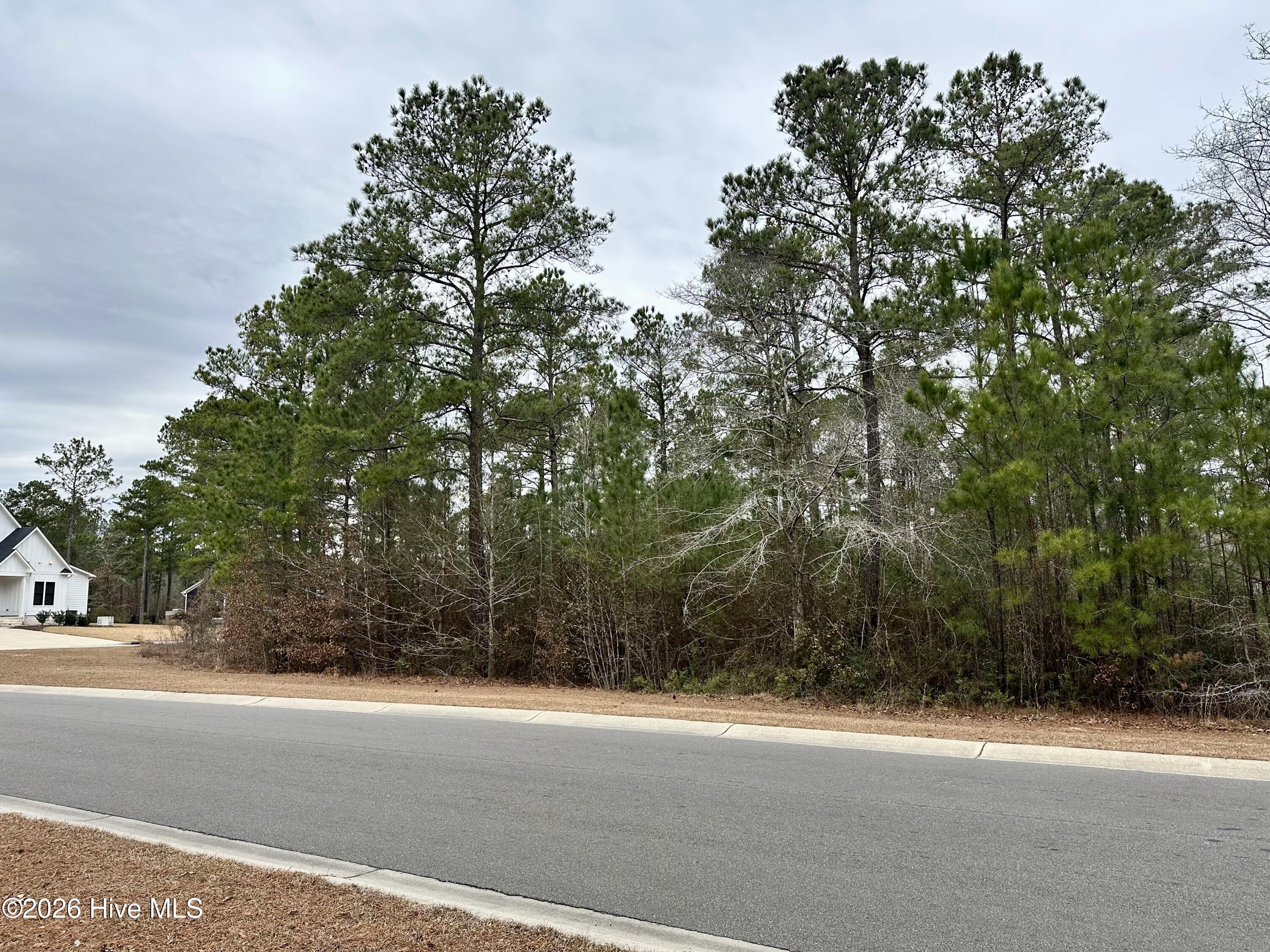 3775 Hallmark Road Northeast Leland, NC 28451 - Photo 6 of 29 3775HallmarkRightSide