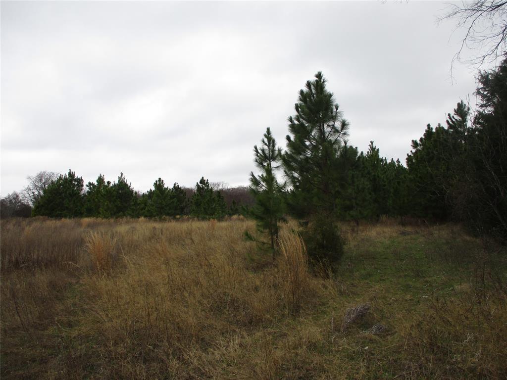 3040 County Road 3040 Emory, TX 75440 - Photo 6 of 6 View of nature with a rural view