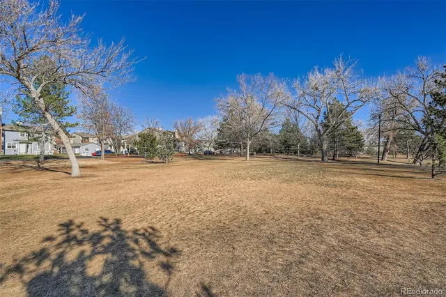 a view of dirt field with trees
