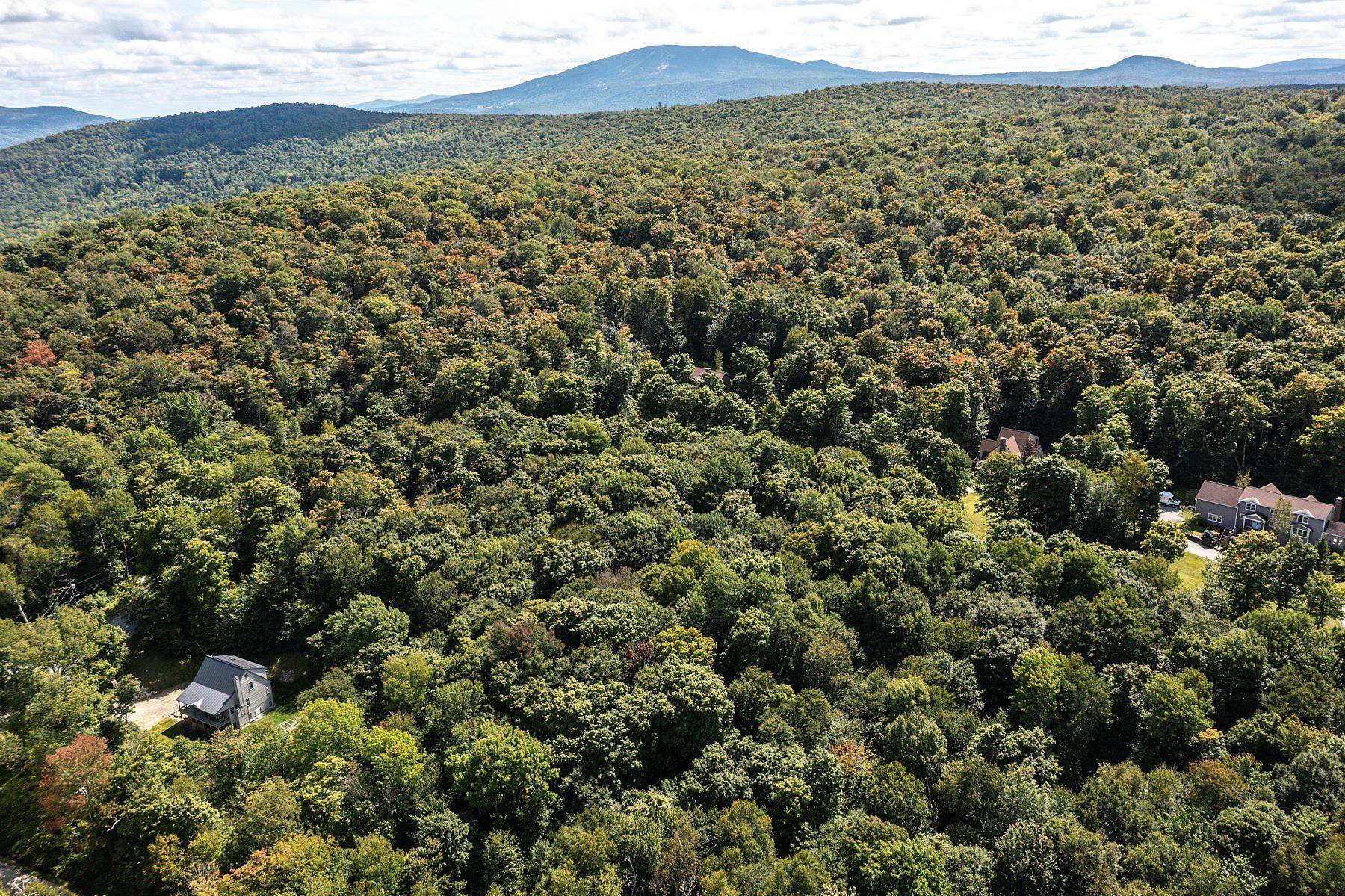 Lot 44 Moose Hollow Road, Unit 44 Winhall, VT 05340 - Photo 3 of 10