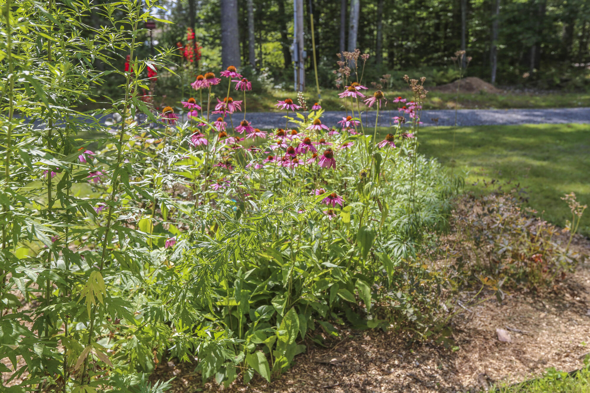 34 Hannan Road Montville, ME 04941 - Photo 57 of 63 43HannonRdMontville-14