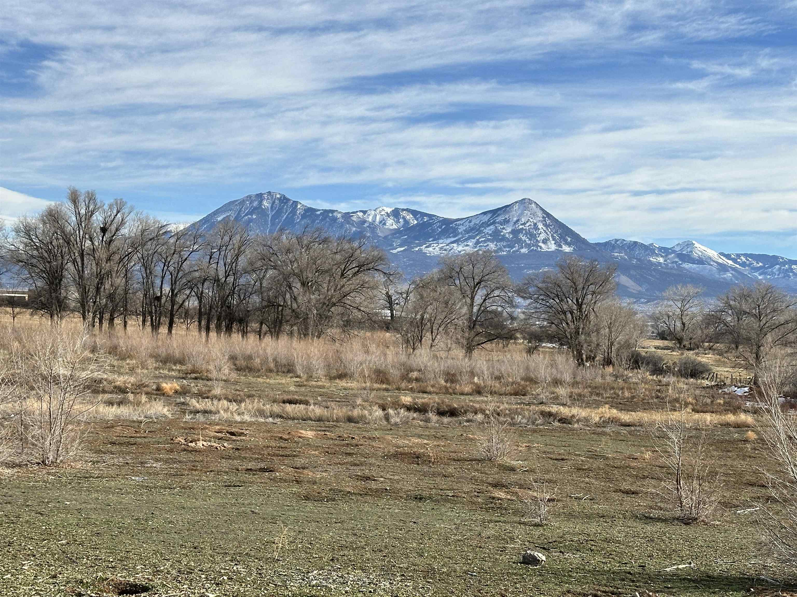 9556 3160th Road Hotchkiss, CO 81419 - Photo 4 of 14