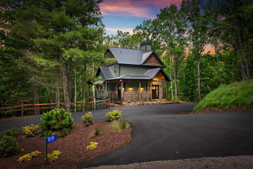 919 Price Road Blue Ridge, GA 30513 - Photo 46 of 60