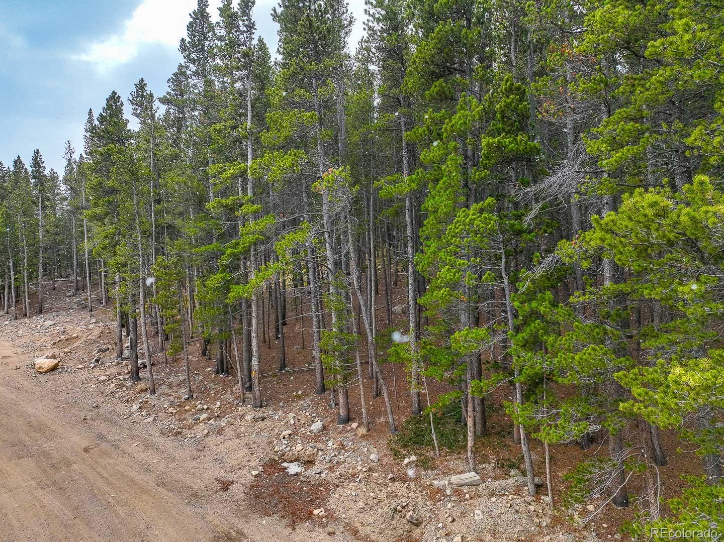 Lot 935 Silver Creek Road Idaho Springs, CO 80452 - Photo 11 of 38