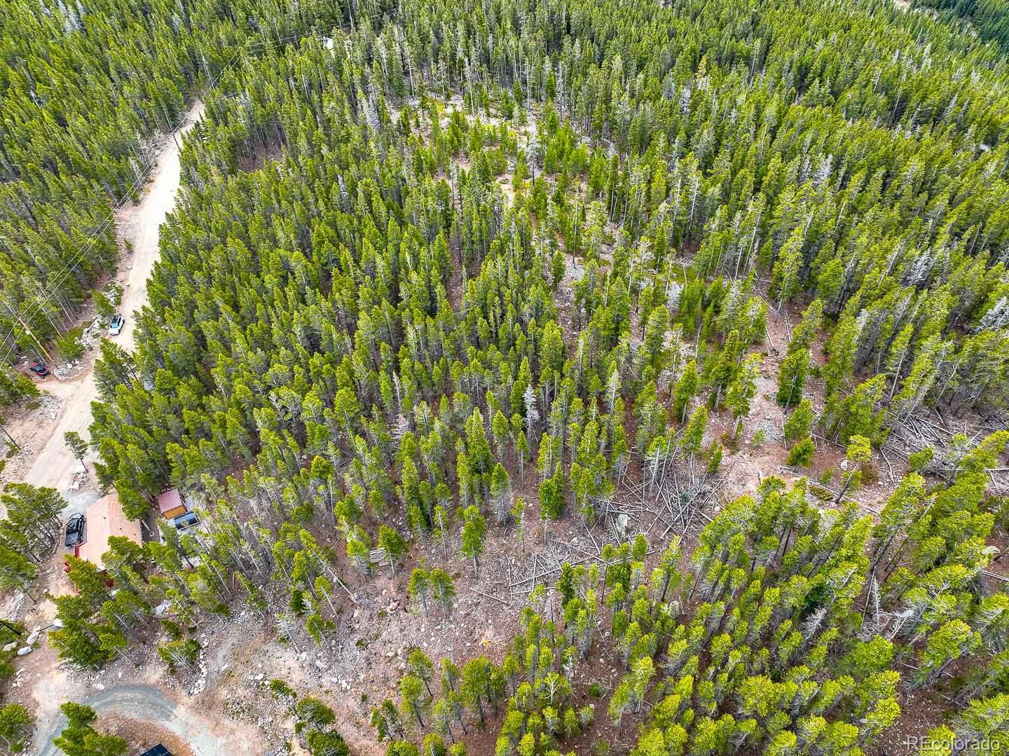 Lot 935 Silver Creek Road Idaho Springs, CO 80452 - Photo 35 of 38