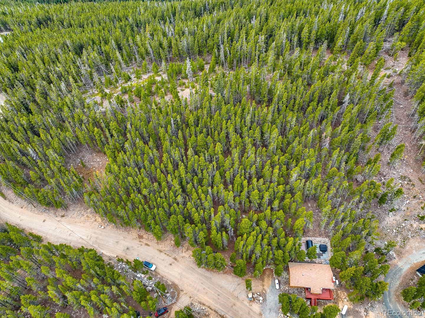 Lot 935 Silver Creek Road Idaho Springs, CO 80452 - Photo 37 of 38