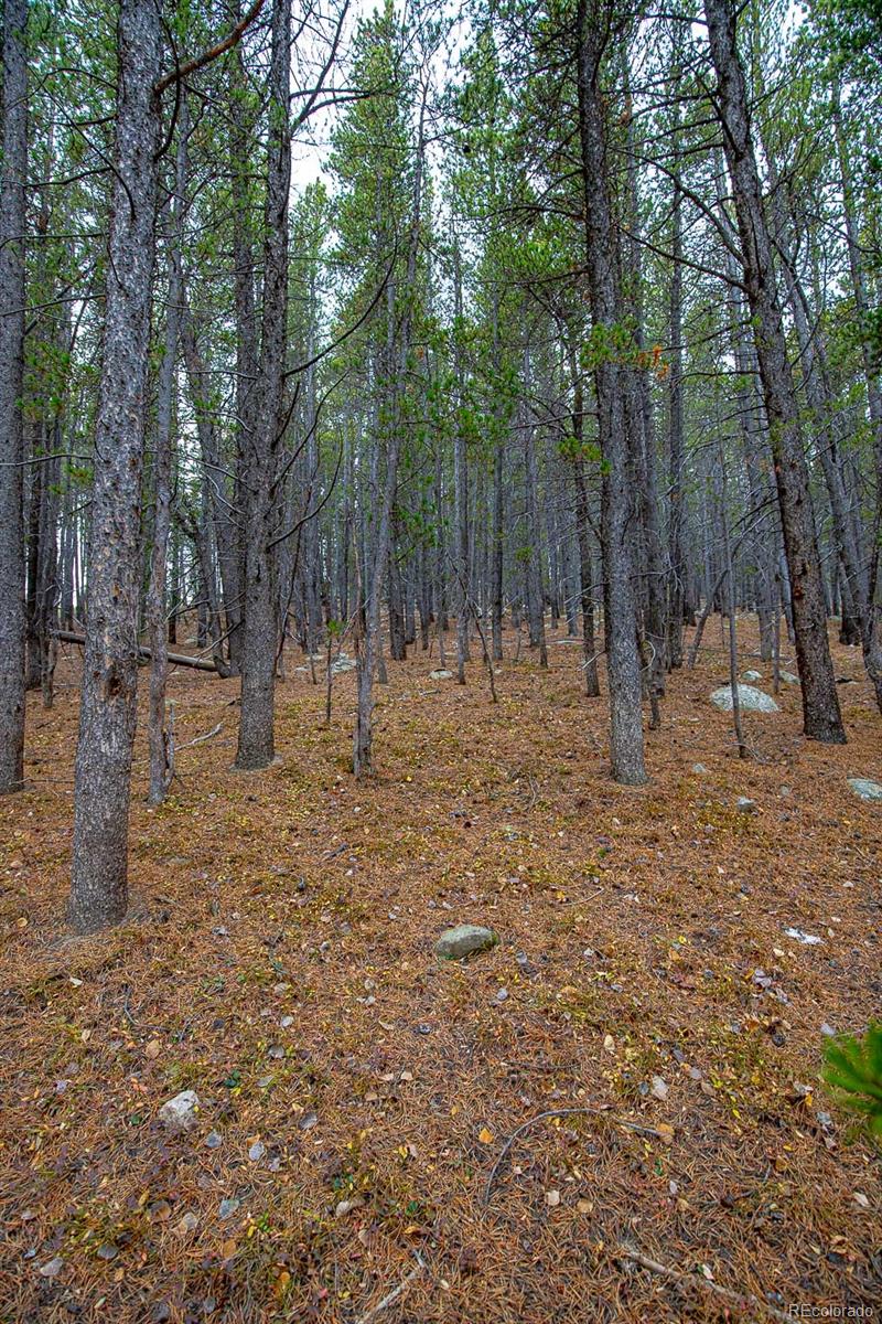 Lot 935 Silver Creek Road Idaho Springs, CO 80452 - Photo 4 of 38