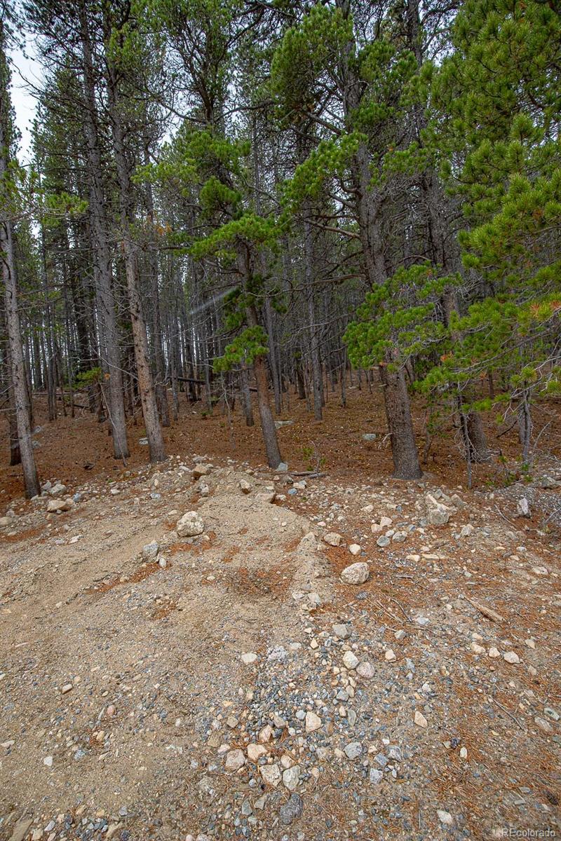 Lot 935 Silver Creek Road Idaho Springs, CO 80452 - Photo 5 of 38