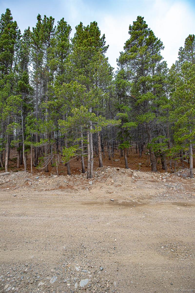 Lot 935 Silver Creek Road Idaho Springs, CO 80452 - Photo 7 of 38
