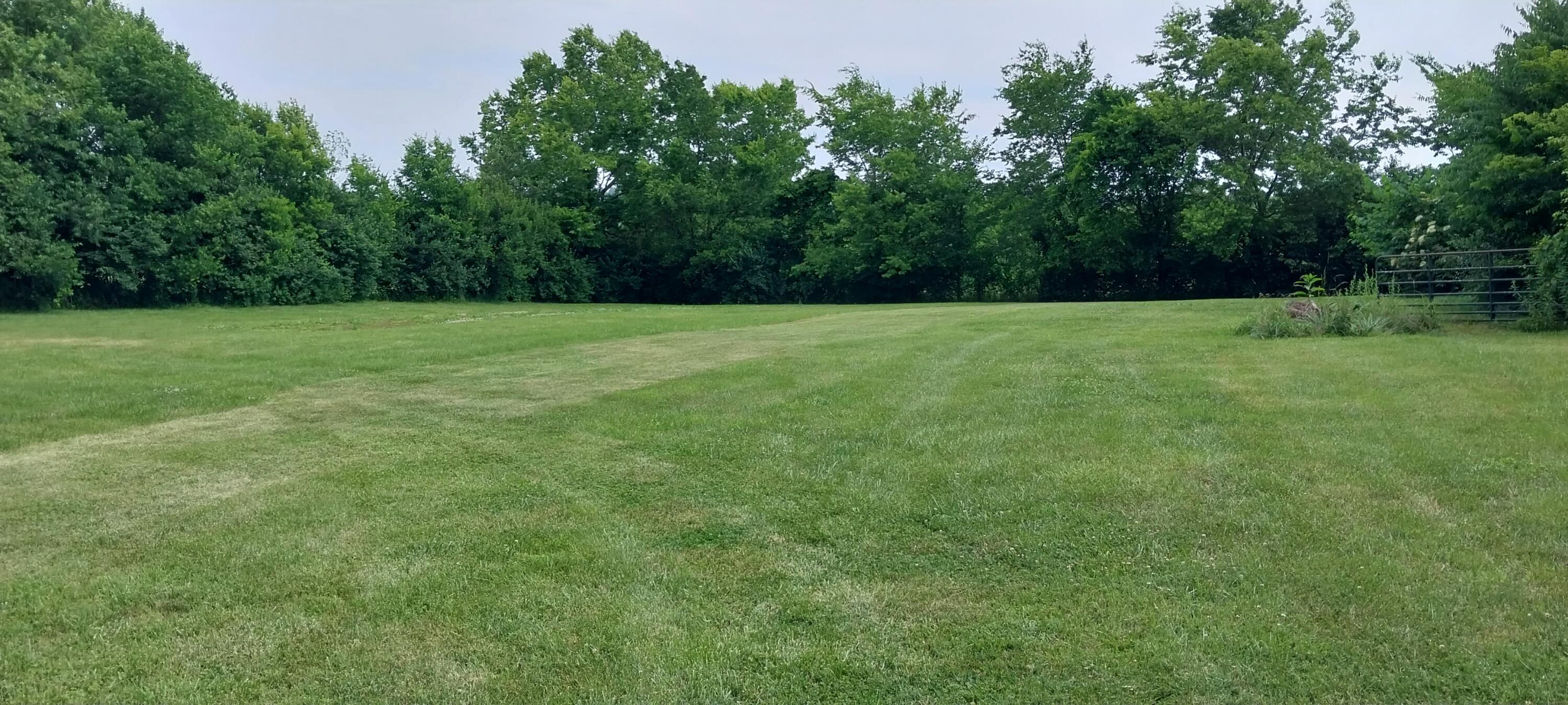 6265 Lebanon Road Danville, KY 40422 - Photo 22 of 29 Leb rd meadow