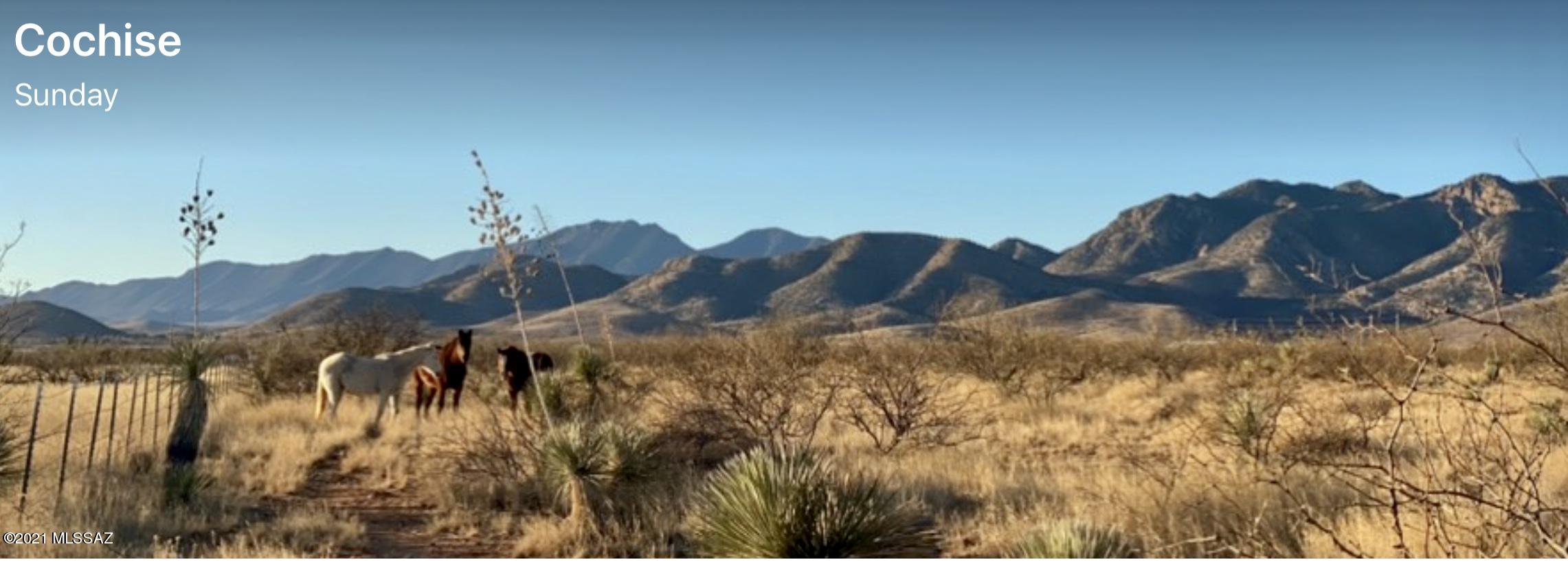 West Redhead Road Cochise, AZ 85606 - Photo 9 of 11