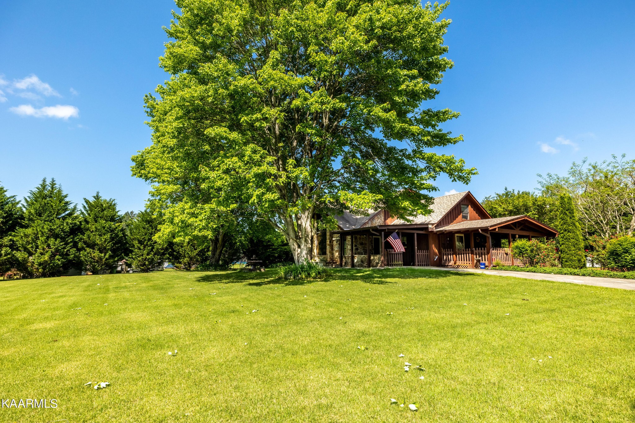 365 Dunn Road Tellico Plains, TN 37385 - Photo 34 of 48 Gallery Image 34