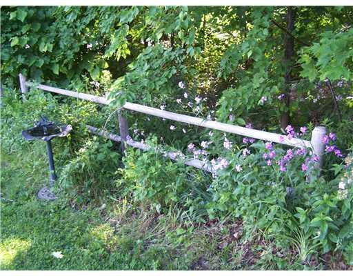 287 North Dexter Road Dexter, ME 04930 - Photo 24 of 25 Yard/Garden.