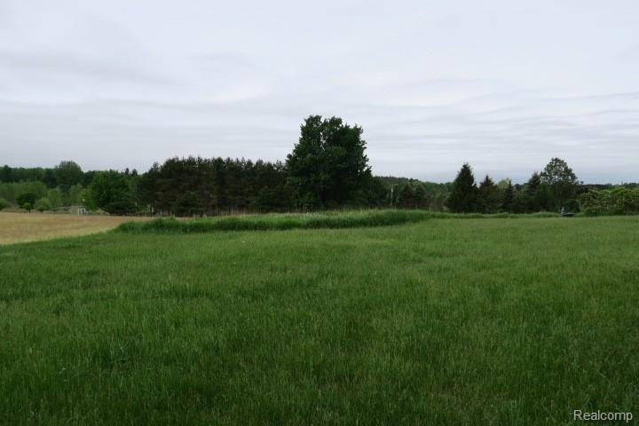 3148 Kings Mill Road North Branch, MI 48461 - Photo 39 of 43