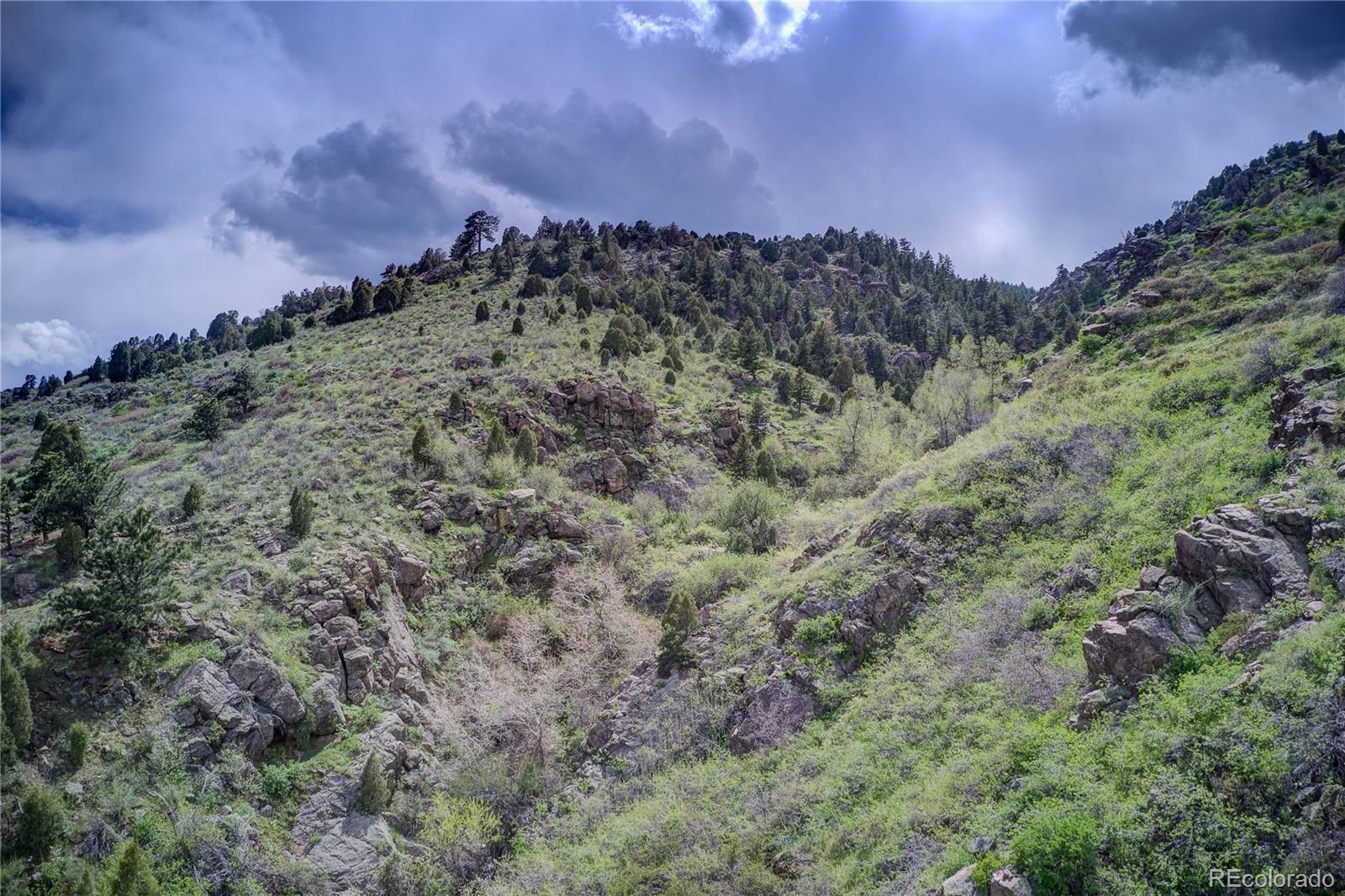 855 Shelton Road Golden, CO 80401 - Photo 18 of 27 a view of a building