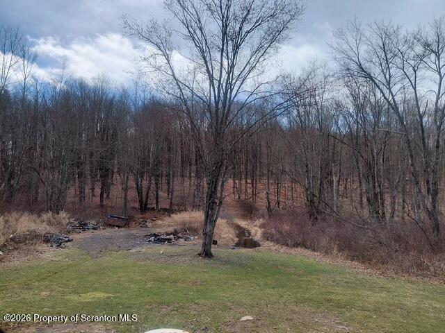 1163 Lake Henry Road Lake Ariel, PA 18436 - Photo 6 of 52 2341171924179077865