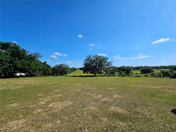 a view of a field with an trees