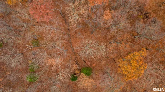 $250,000 | 0 Cut Off Road, Creal Springs, IL 62922