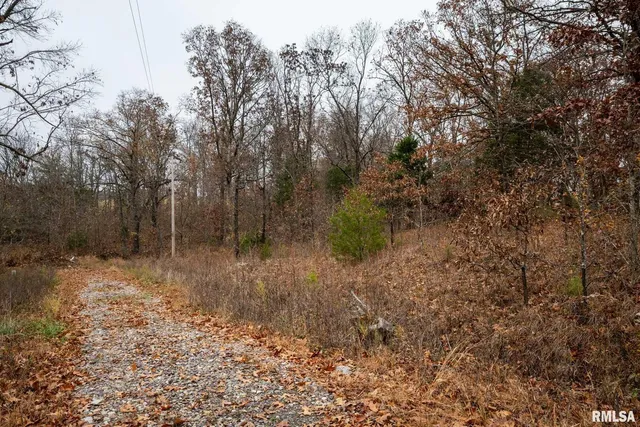 $250,000 | 0 Cut Off Road, Creal Springs, IL 62922