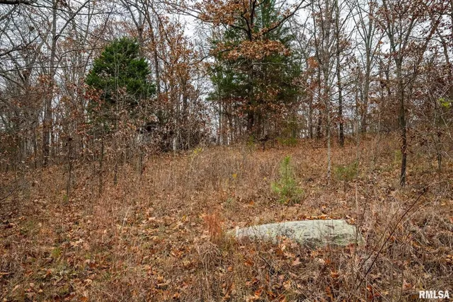 $250,000 | 0 Cut Off Road, Creal Springs, IL 62922