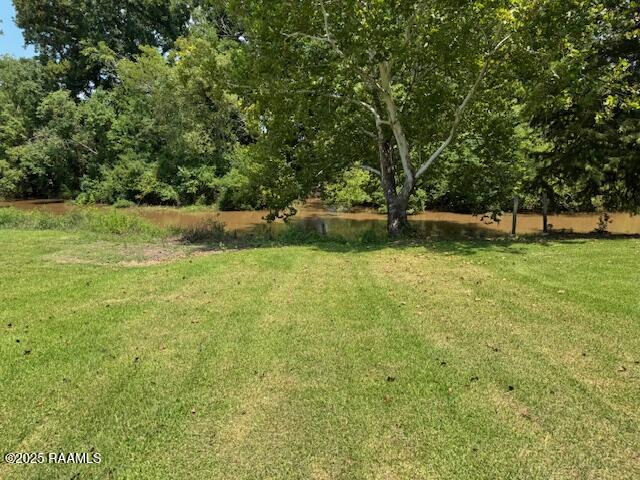 1022 Cotton Patch Road Bunkie, LA 71322 - Photo 6 of 8