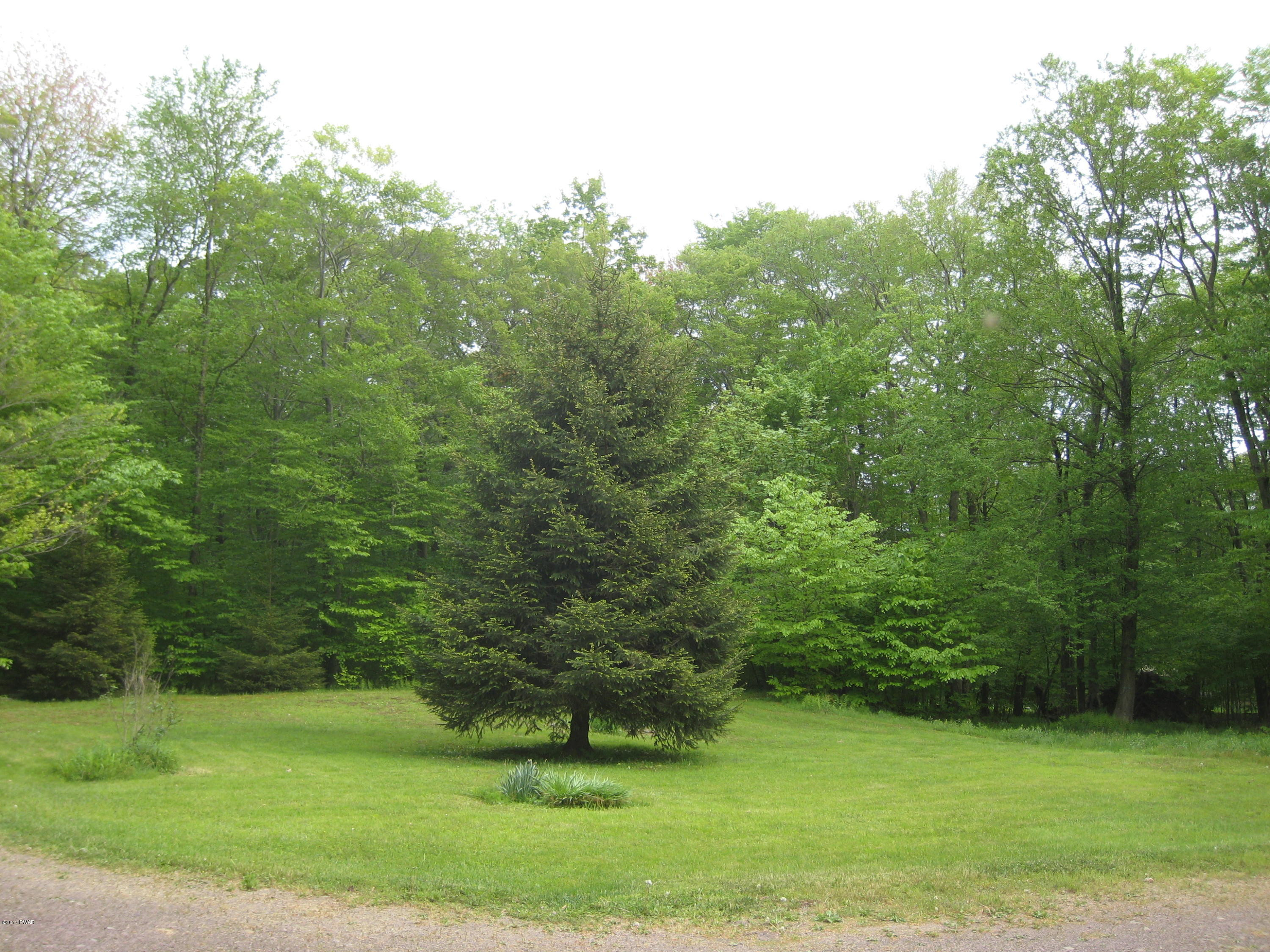 645 Ravnikar Road Forest City, PA 18421 - Photo 19 of 19
