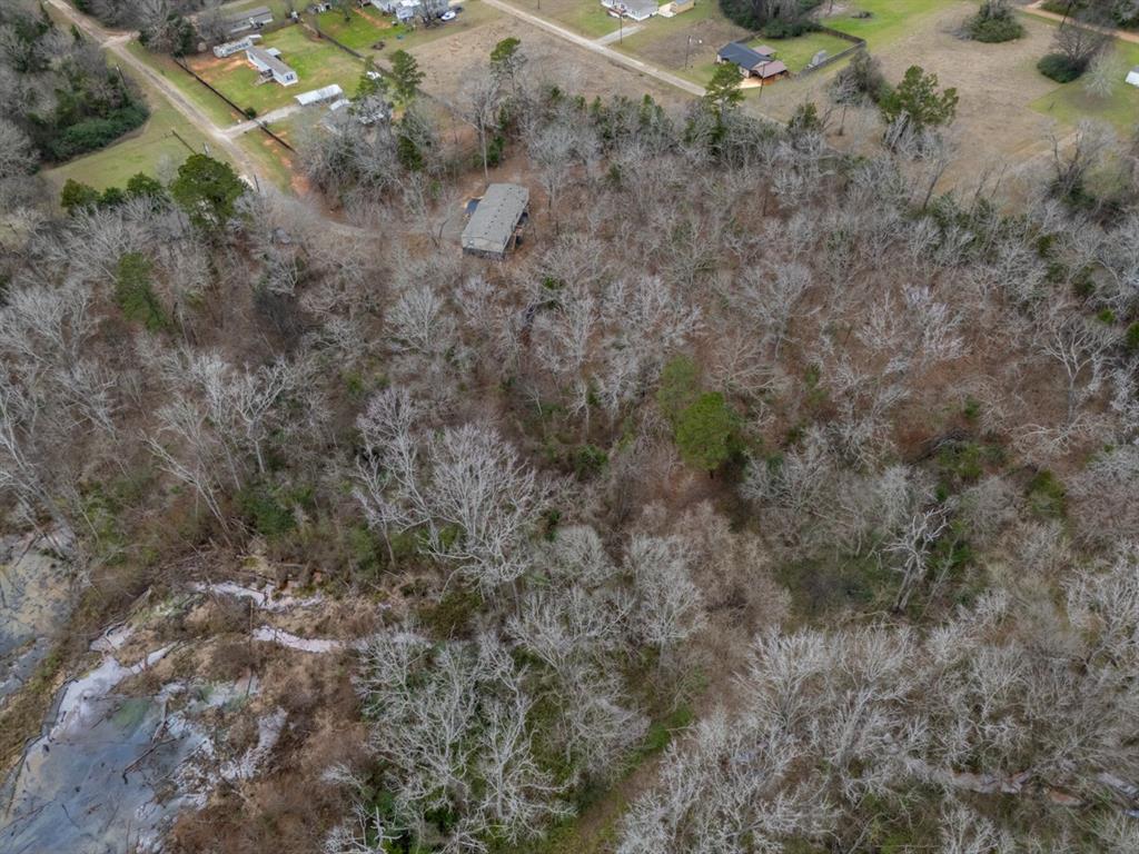 185 Sabine Bullard, TX 75757 - Photo 13 of 32 a view of a dry yard