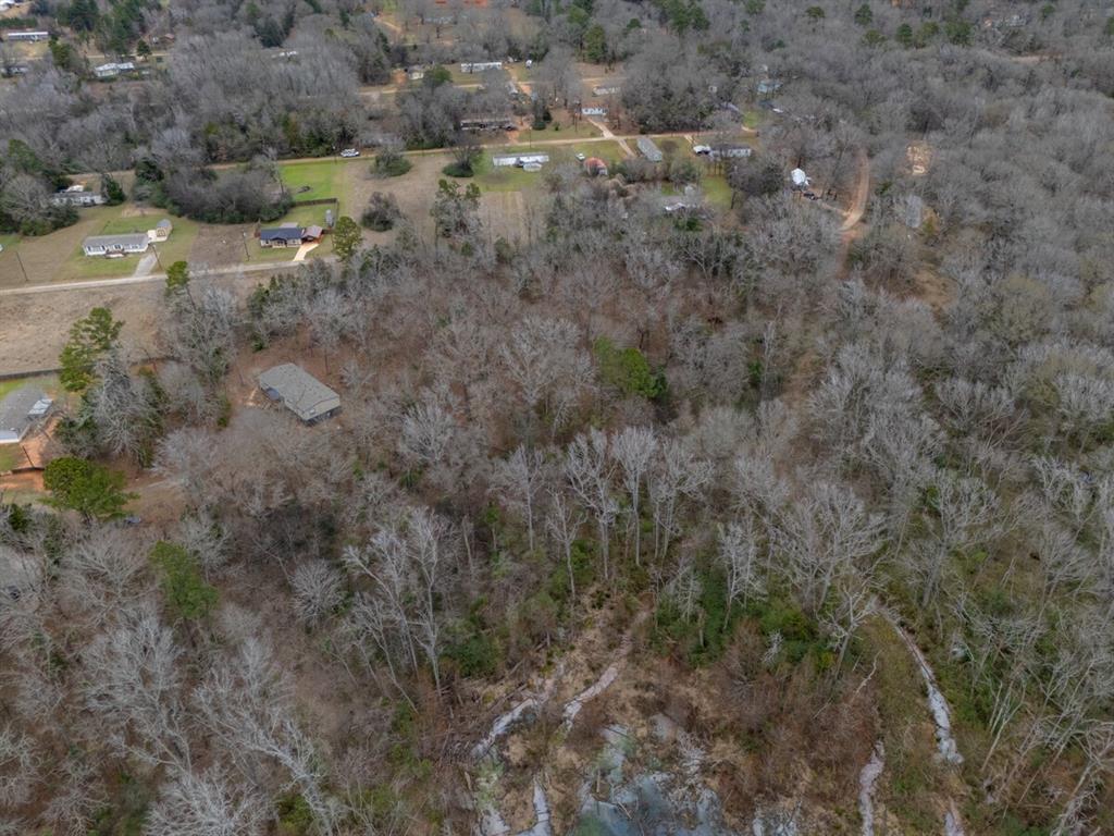 185 Sabine Bullard, TX 75757 - Photo 14 of 32 a view of a yard with trees