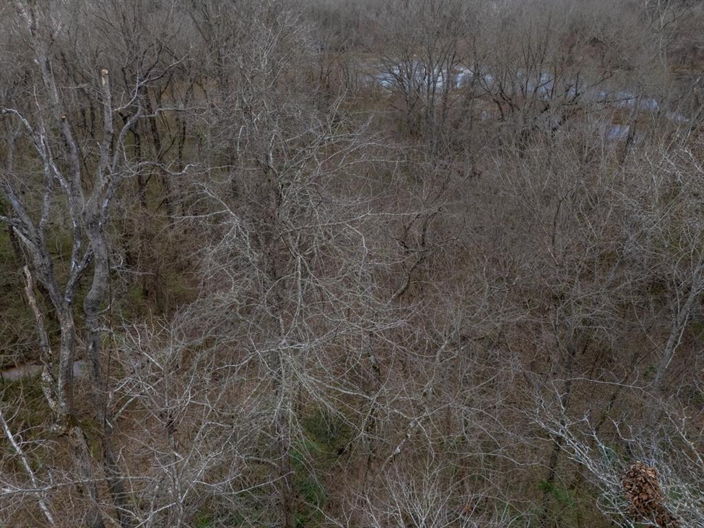 185 Sabine Bullard, TX 75757 - Photo 17 of 32 a view of a dry yard