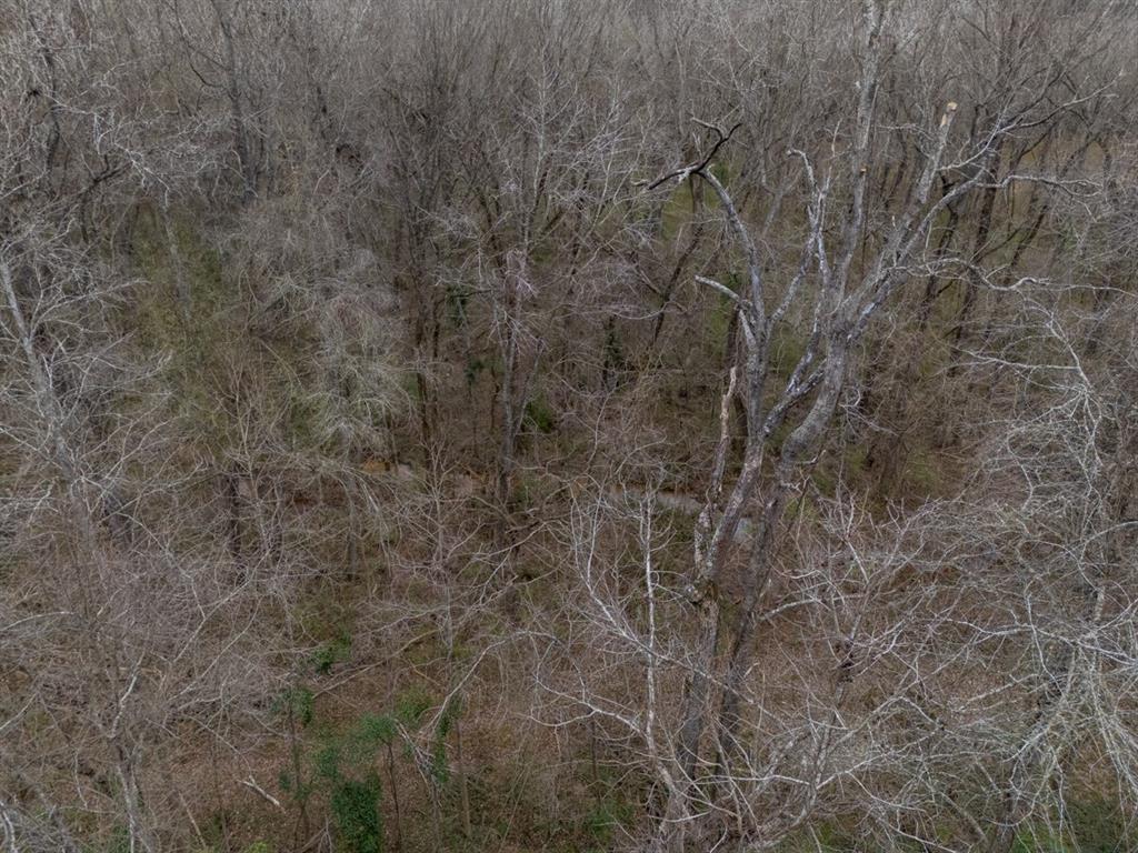 185 Sabine Bullard, TX 75757 - Photo 18 of 32 a view of a dry yard