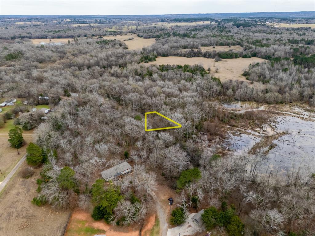 185 Sabine Bullard, TX 75757 - Photo 2 of 32 a view of a field with trees in the background
