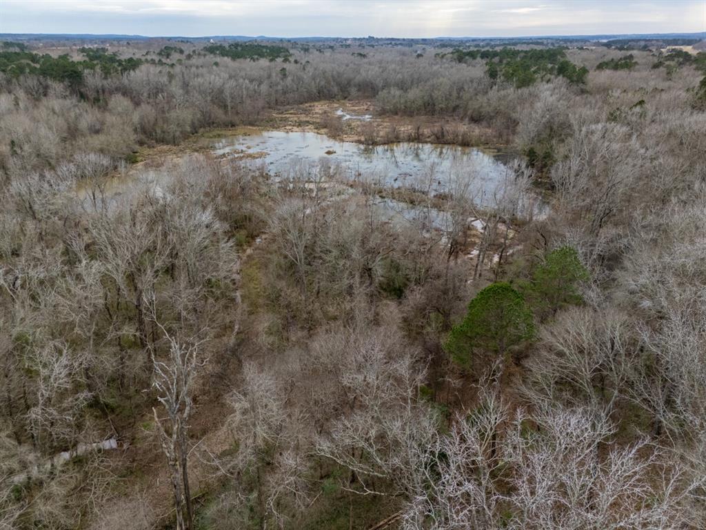 185 Sabine Bullard, TX 75757 - Photo 21 of 32 a view of a forest with trees in the background