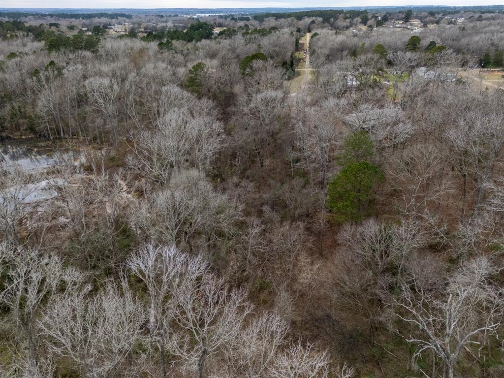 185 Sabine Bullard, TX 75757 - Photo 26 of 32 a view of a forest with trees in the background