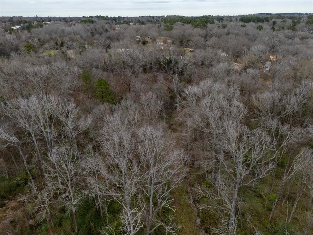 185 Sabine Bullard, TX 75757 - Photo 28 of 32 a view of a dry field