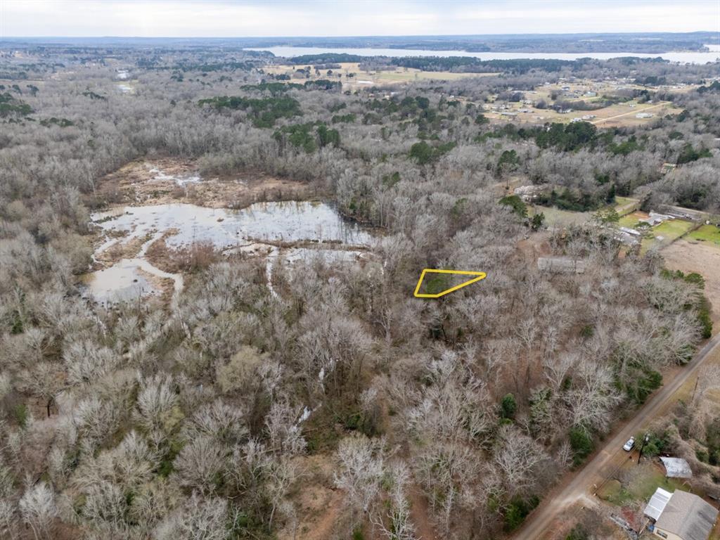 185 Sabine Bullard, TX 75757 - Photo 3 of 32 a view of a mountain with a garden