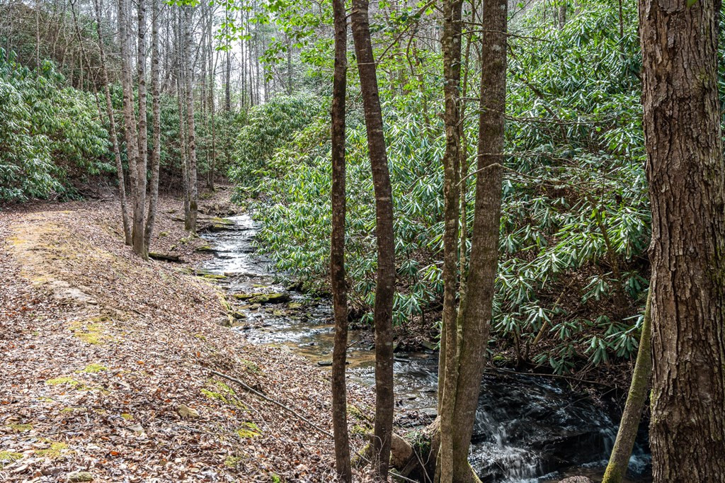 325 Trickling Branch Way Murphy, NC 28906 - Photo 4 of 58