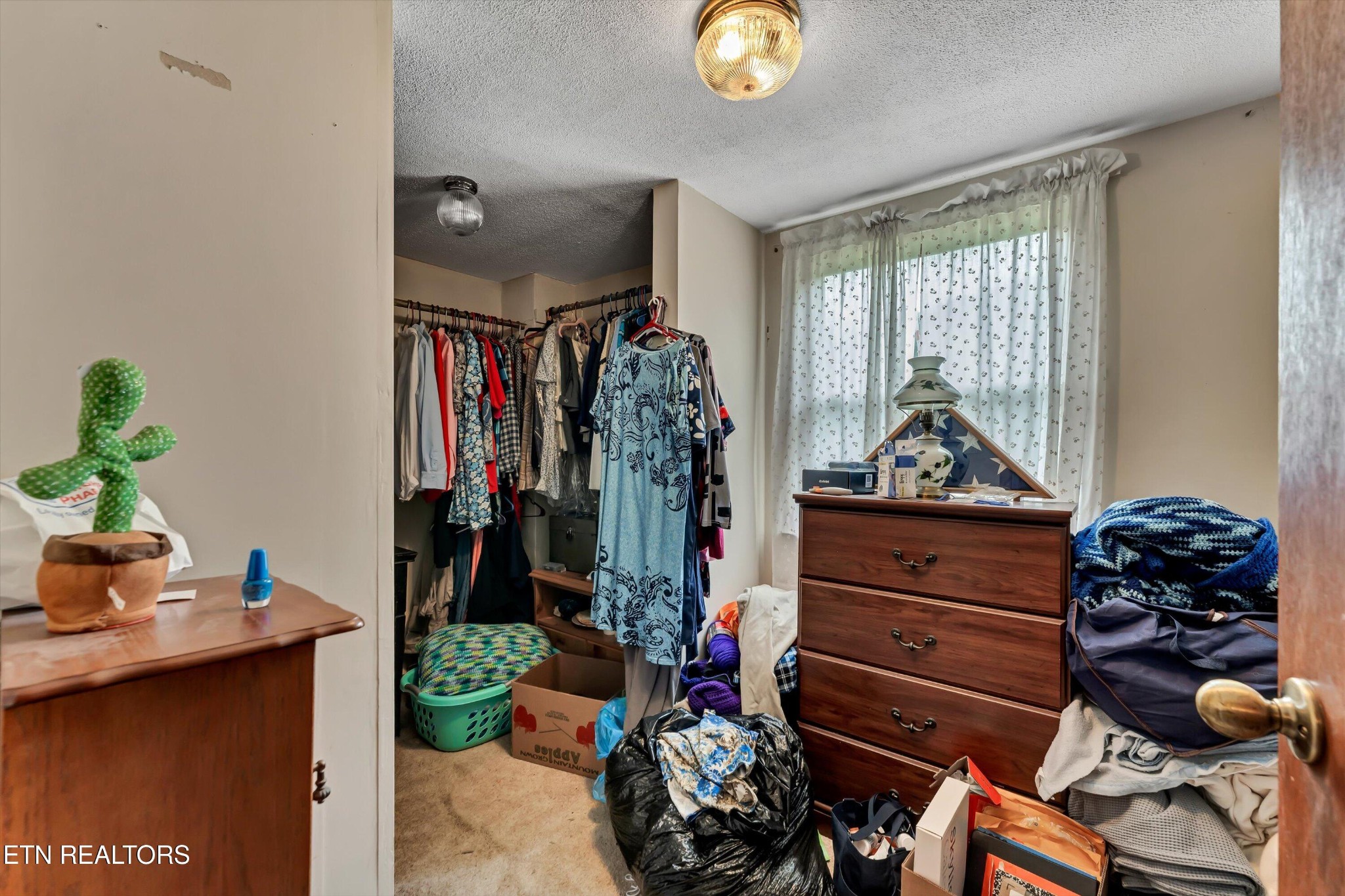 123 Sexton Lane Clinton, TN 37716 - Photo 11 of 41