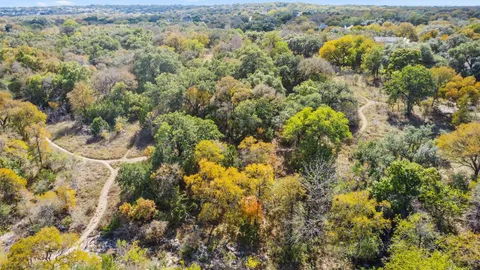 a view of a forest with an outdoor space