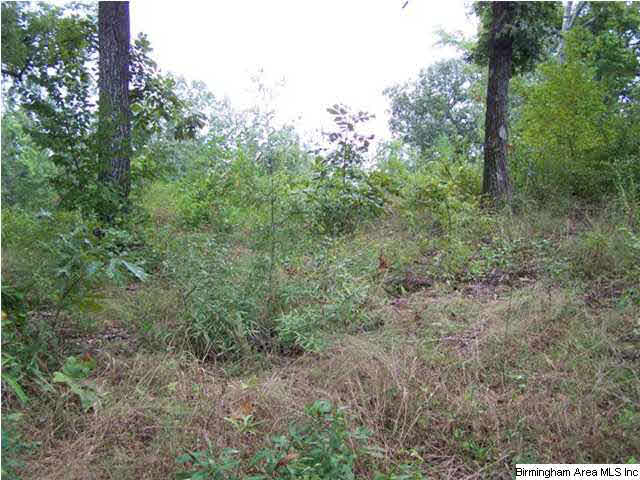 Boat Ramp Trail, Unit 109 Sylacauga, AL 35150 - Photo 5 of 6